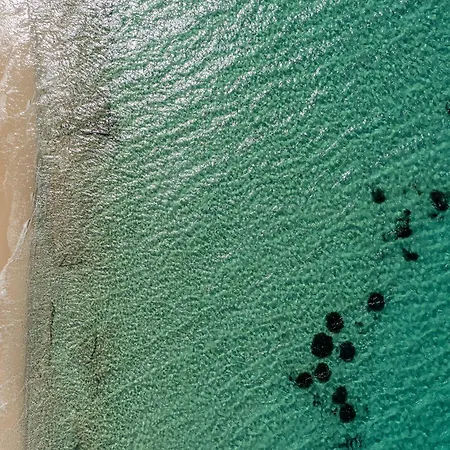 Golden With Private Pool *