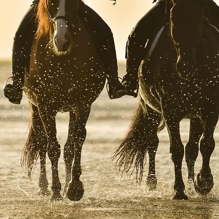 Golden With Private Pool Villa